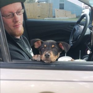 Meet your Posher, Kevin